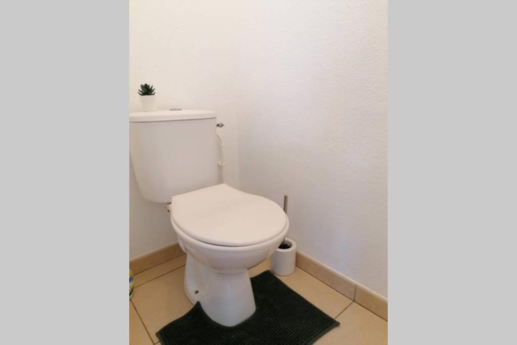 T2 Entier - Hyper Centre - Cosy Home Grenade-sur-Garonne المظهر الخارجي الصورة