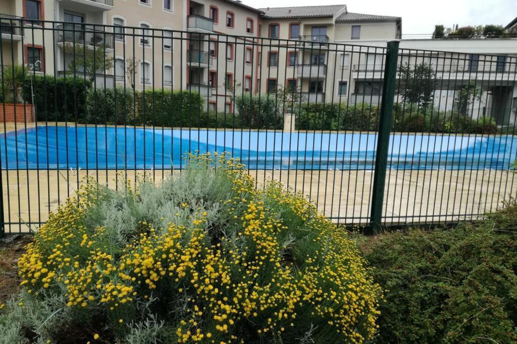 T2 Entier - Hyper Centre - Cosy Home Grenade-sur-Garonne المظهر الخارجي الصورة